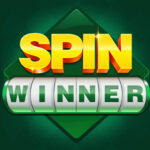 Spin winner